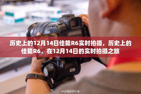 佳能R6实时拍摄之旅，历史回顾与探索的12月14日