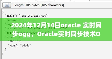 Oracle实时同步技术OGG深度解析与应用展望，聚焦2024年12月14日的发展动态