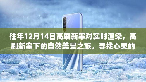 高刷新率下的自然美景之旅，实时渲染与心灵的宁静港湾探索