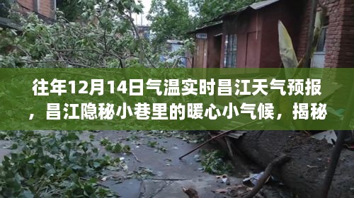 揭秘昌江隐秘小巷的暖心气候，往年12月14日昌江天气预报与特色小店一览