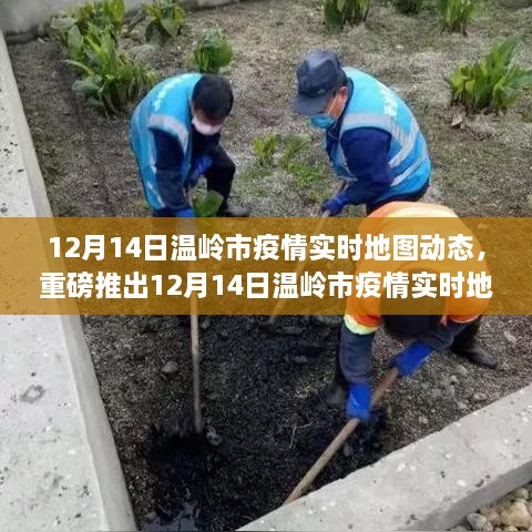 科技巨献，温岭市疫情实时地图动态发布重塑防控新纪元