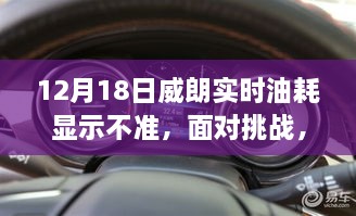 2024年12月 第187页