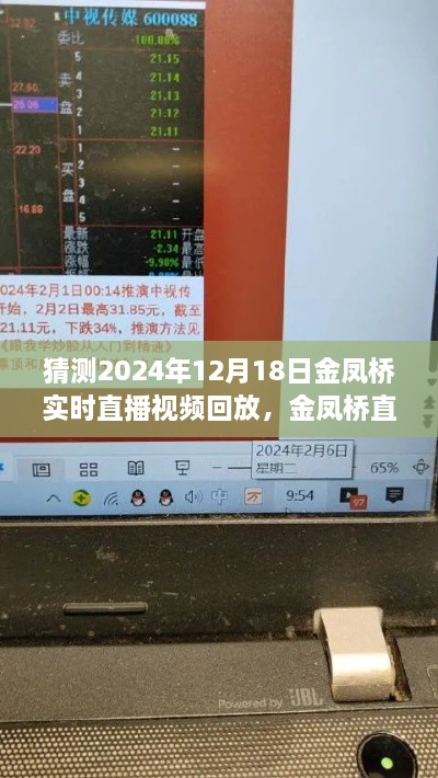 金凤桥直播回顾，自信与成就之旅的成长变化（2024年12月18日实时直播回放）