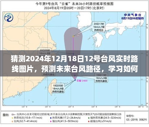 预测与解读，2024年12月18日12号台风实时路线预测与图片获取指南