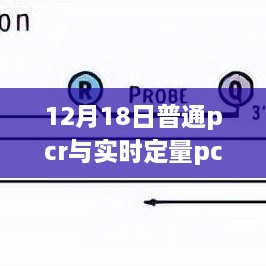 揭秘普通PCR与实时定量PCR的技术差异及应用前景，深度解析与未来展望（12月18日专题）