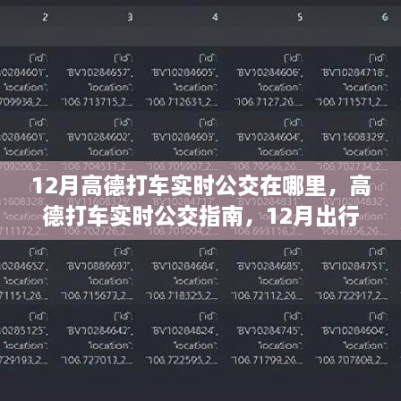 高德打车实时公交指南，12月出行必备，轻松掌握公交动态