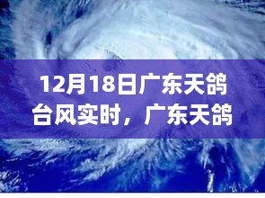 广东天鸽台风最新实时报道，风雨中的力量与时代印记