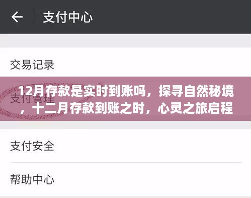 揭秘十二月存款到账真相与探寻自然秘境的心灵之旅启程时刻
