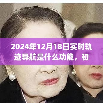 2024年实时轨迹导航详解，从初学者到进阶用户的必备指南