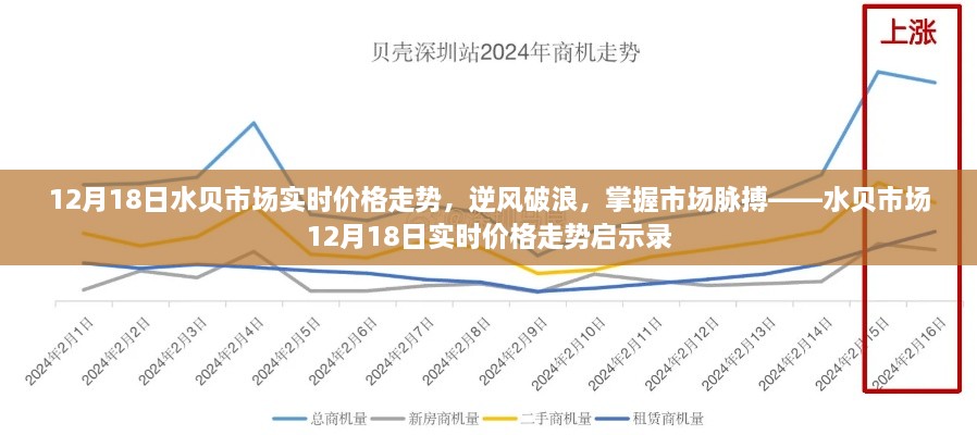 2024年12月 第165页