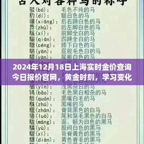 2024年12月18日上海实时金价查询，黄金时刻，洞悉未来