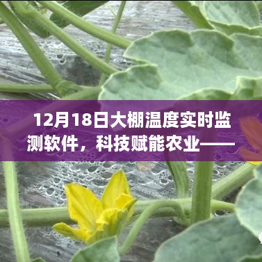 科技赋能农业，全新智能大棚温度实时监测软件重磅发布，精准掌控大棚温度