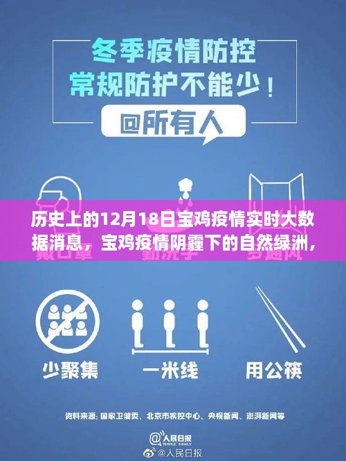 宝鸡疫情阴霾下的自然绿洲探索，历史数据与心灵之旅的奇妙交汇点