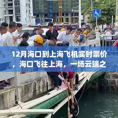 海口飞往上海，云端之上的温情之旅，实时票价查询