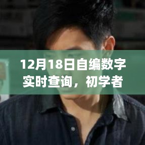 初学者也能轻松掌握的数字实时查询指南，12月18日详细步骤解析