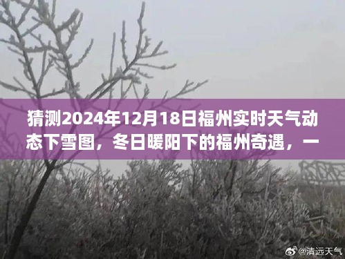 福州奇遇，冬日暖阳下的雪与家的温馨故事（预测2024年12月18日福州实时下雪动态）