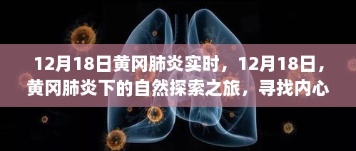 黄冈肺炎下的自然探索之旅，寻找内心的宁静与微笑，实时记录12月18日