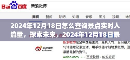 探索未来，2024年景点实时人流量查询策略探讨