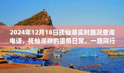 抚仙湖畔温情日常，实时路况查询电话与一路同行的故事