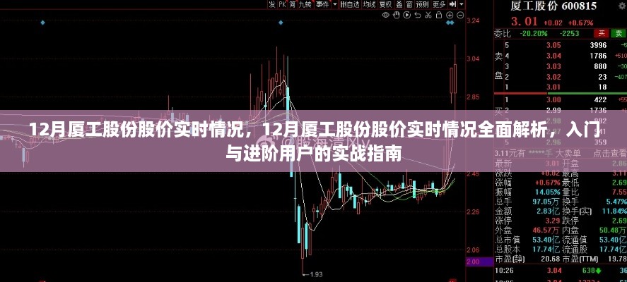 12月厦工股份股价实时情况全面解析，从入门到进阶的实战指南