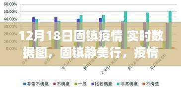 固镇疫情实时数据图，疫情下的自然探索之旅启程于冬日数据图的呼唤