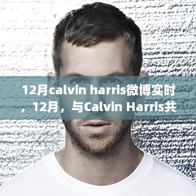 12月与Calvin Harris共舞自然美景，探寻内心宁静之旅的微博实时报道