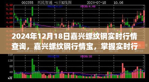 2024年嘉兴螺纹钢实时行情解析，科技引领交易新纪元