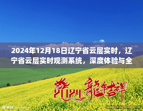 辽宁省云层实时观测系统深度体验与全面评测，2024年视角的观察报告