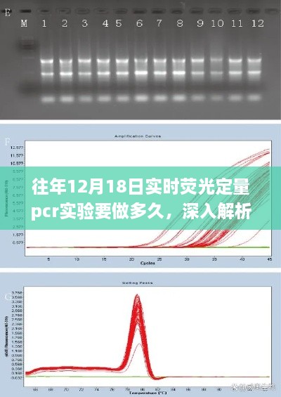 往年12月18日实时荧光定量PCR实验详解，时长与实验体验全面解析及评测