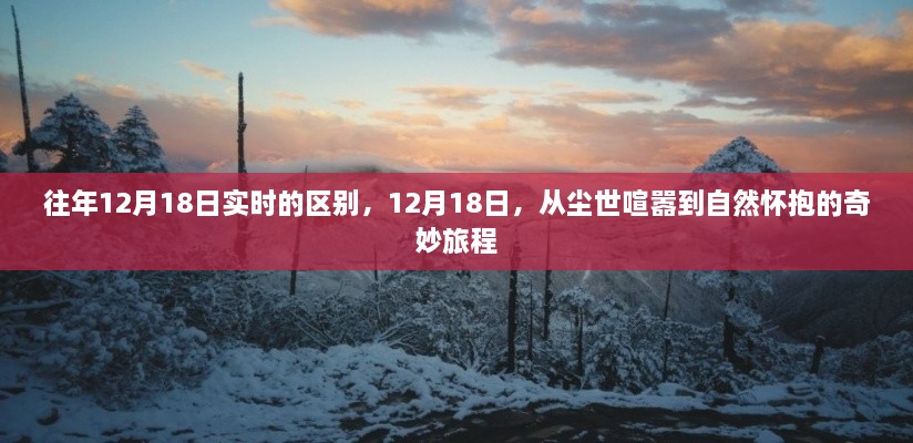 12月18日，从喧嚣尘世到自然怀抱的旅程奇妙对比