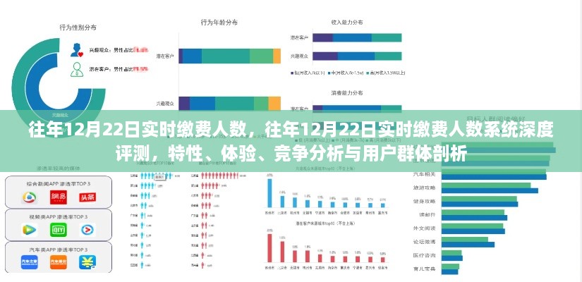 往年12月22日实时缴费人数详解，系统特性、体验、竞争分析与用户群体剖析评测报告