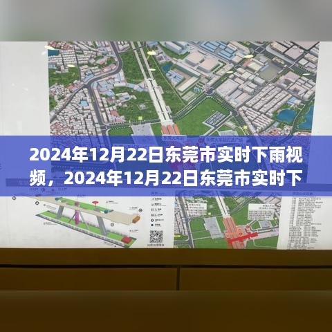 东莞市实时下雨视频与情况分析，2024年12月22日降雨实况报道