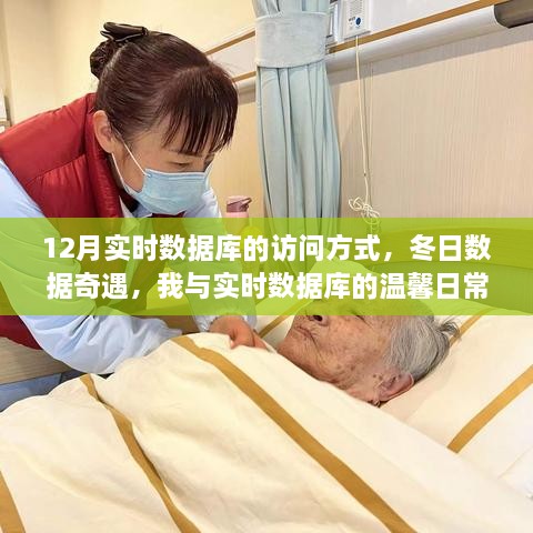 我与实时数据库的冬日奇遇，12月访问方式与温馨日常