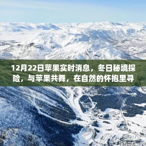 冬日秘境探险，与苹果共舞，探寻自然宁静的内心世界（12月22日实时消息）