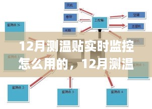 12月测温贴实时监控应用解析与实用指南，使用方法和个人见解