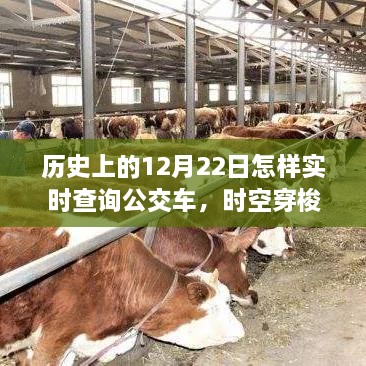 历史上的12月22日智能公交实时查询，时空穿梭般的全新导航体验