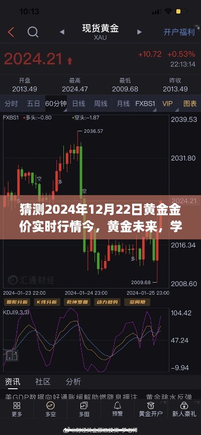 黄金行情预测之旅，揭秘未来黄金金价走势，把握黄金行情变化的学习之旅