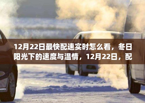 冬日阳光下的速度与爱的传递，12月22日配速实时查看之旅