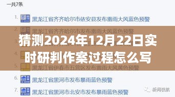 2024年12月22日实时作案过程深度预测与研判，分析与探讨