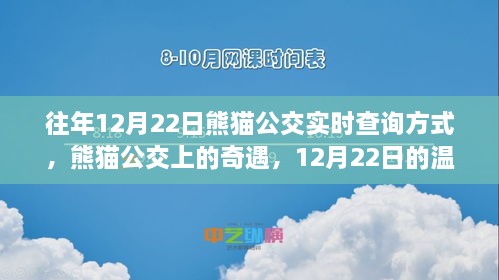 熊猫公交奇遇记，温馨查询之旅的往年回顾与实时查询攻略