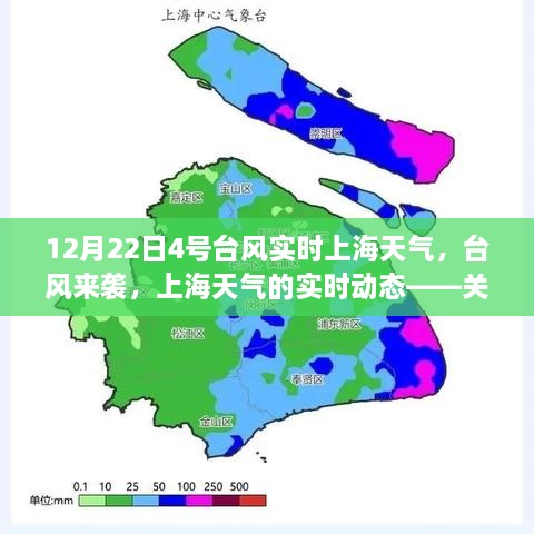 四号台风影响下的上海天气实时分析，台风来袭，上海天气的动态观察与预测