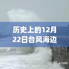 历史上的12月22日台风侵袭海边的实时画面回顾