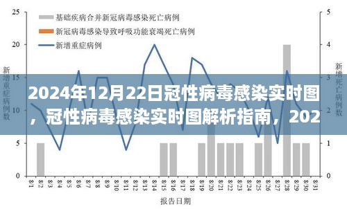 2024年12月22日冠性病毒感染实时图解析指南，初学者与进阶用户参考