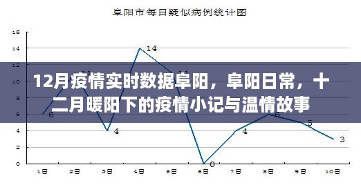 十二月阜阳疫情实时数据与温情故事，暖阳下的日常与抗疫纪实