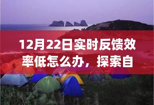 探索自然美景之旅遭遇效率挑战，如何重拾节奏与内心平静？