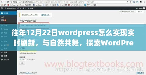 WordPress实时刷新之旅，与自然共舞，启程探索内心宁静的刷新之旅