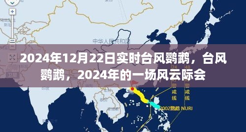 2024年台风鹦鹉风云际会，实时追踪报道