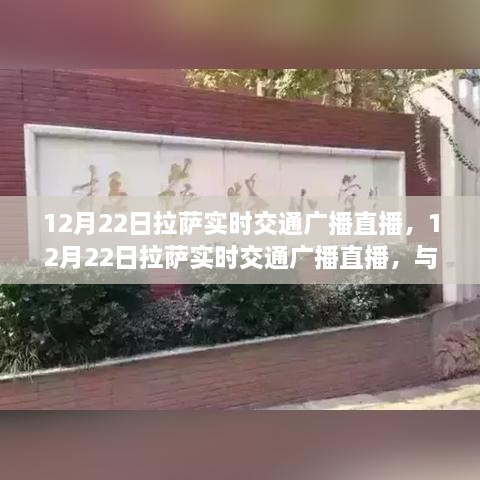 拉萨实时交通广播直播，与自然美景共舞，心灵宁静之旅