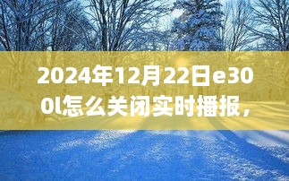 冬日暖阳下的探索，如何关闭E300L实时播报指南