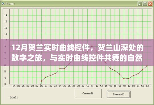 2024年12月 第59页